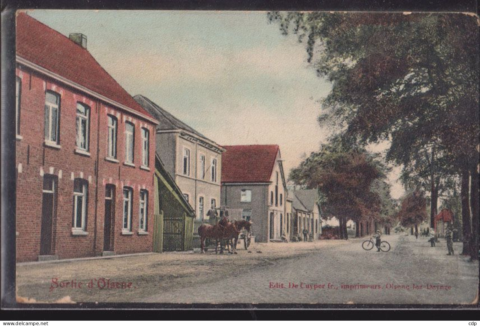 Cpa Olsene  1916    Chevaux - Zulte