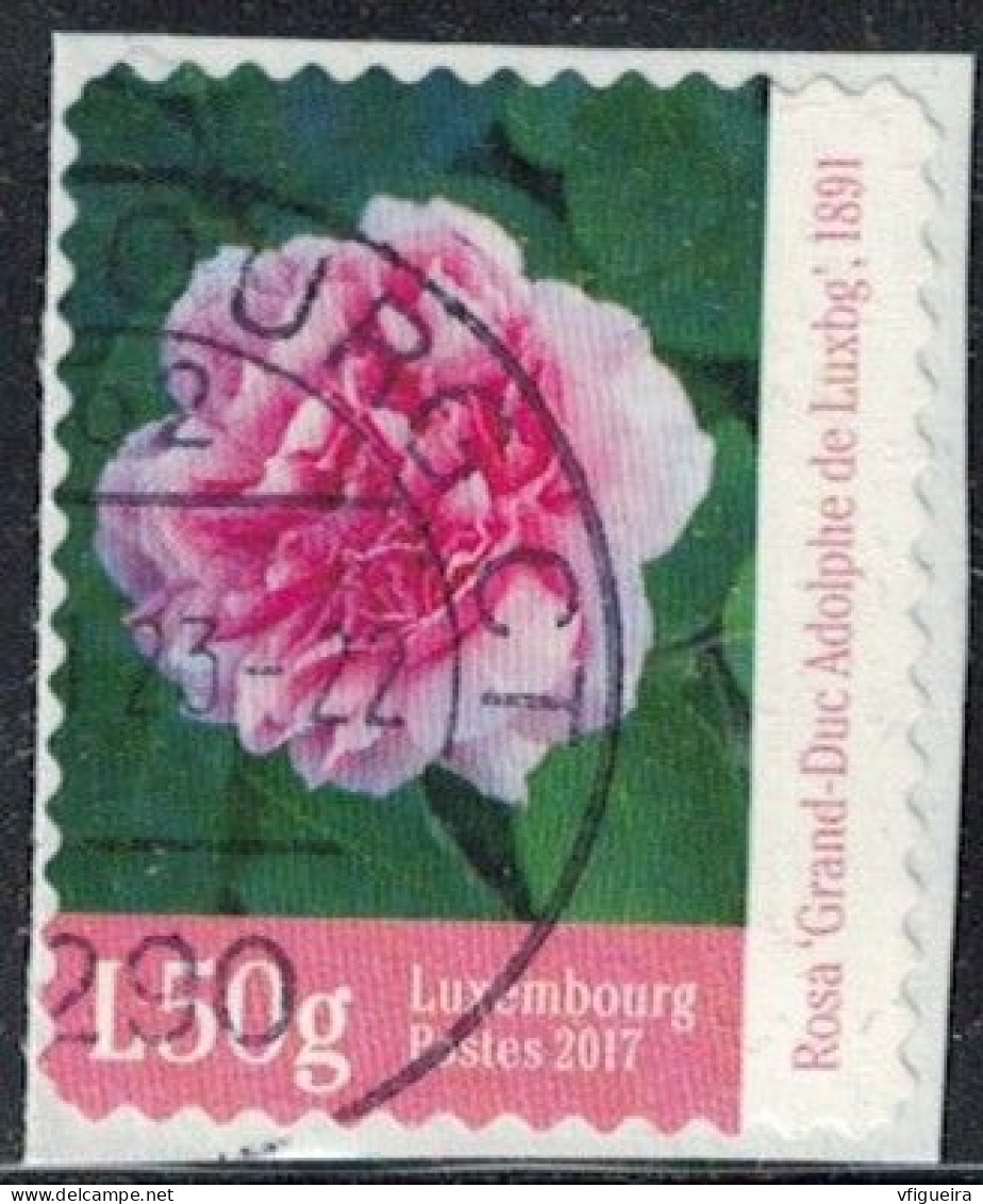 Luxembourg 2017 Oblitéré Used Rose Grand Duc Adolphe Y&T LU 2093 SU - Usados