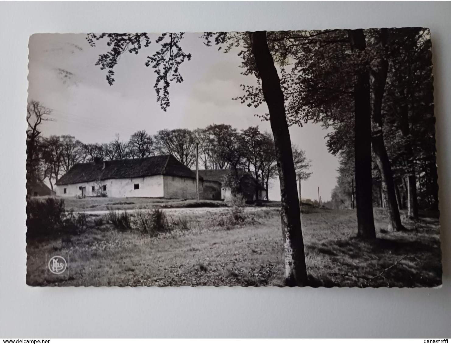 OPOETEREN  EEUWEN OUDE HOEVEN - Maaseik