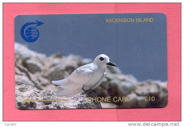 ASCENCION: ASC-M-1C £10 Fairy Tern. 1CASC - Islas Ascensión