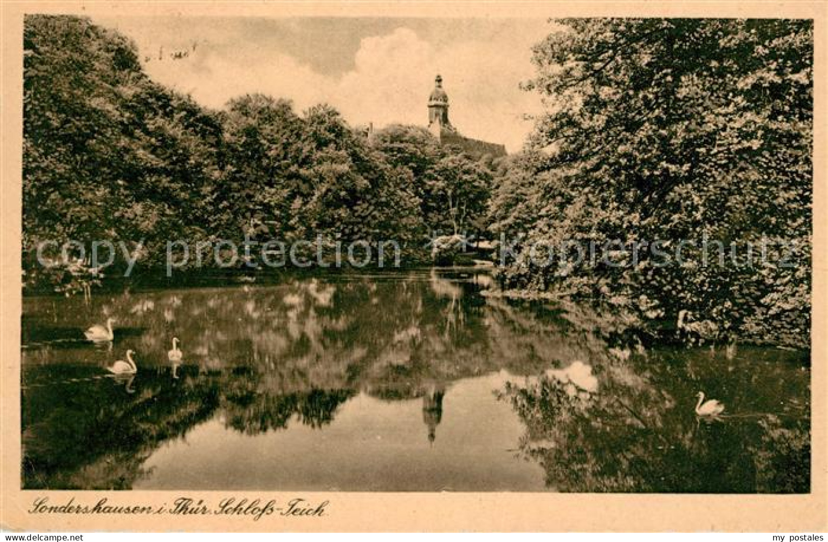 43012860 Sondershausen Thueringen Schlossteich Schwaene Sondershausen - Sondershausen