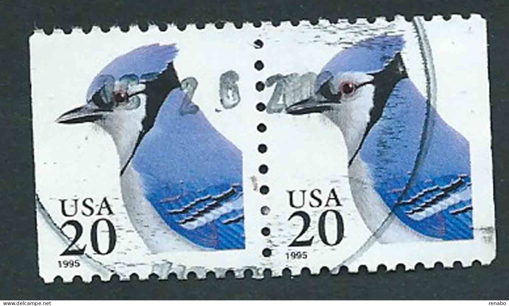 United States, USA, Stati Uniti 1995; Ghiandaia Azzurra, Blue Jay Bird, Couple 20c. Used. - Moineaux