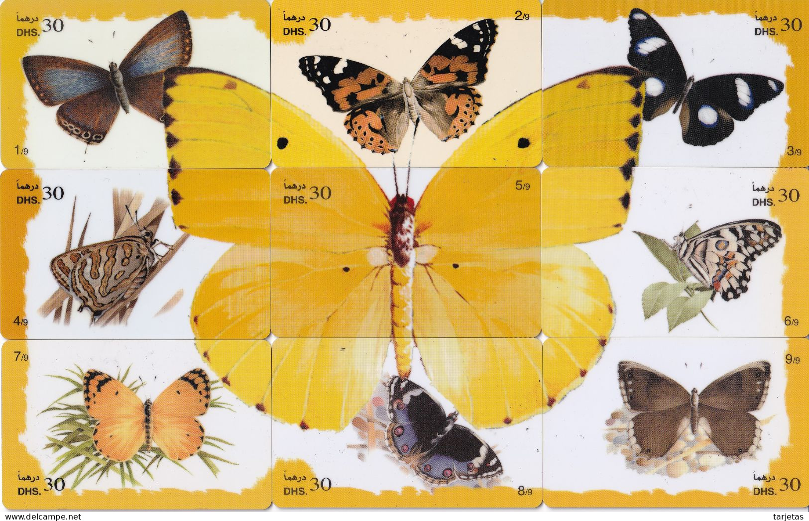 PUZZLE DE 9 TARJETAS DE EMIRATOS ARABES DE MARIPOSAS (MARIPOSA-BUTTERFLY) - Schmetterlinge