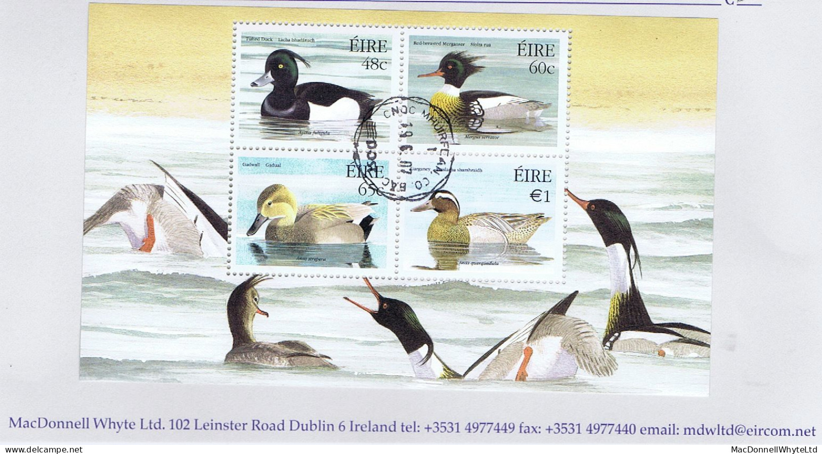 Ireland Birds 2004 Ducks Miniature Sheet Fine Used Mount Merrion Cds - Oblitérés