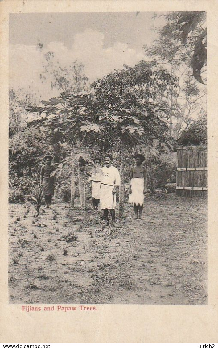 AK Fiji - Fijians And Papaw Trees - 1907  (66447) - Fiji