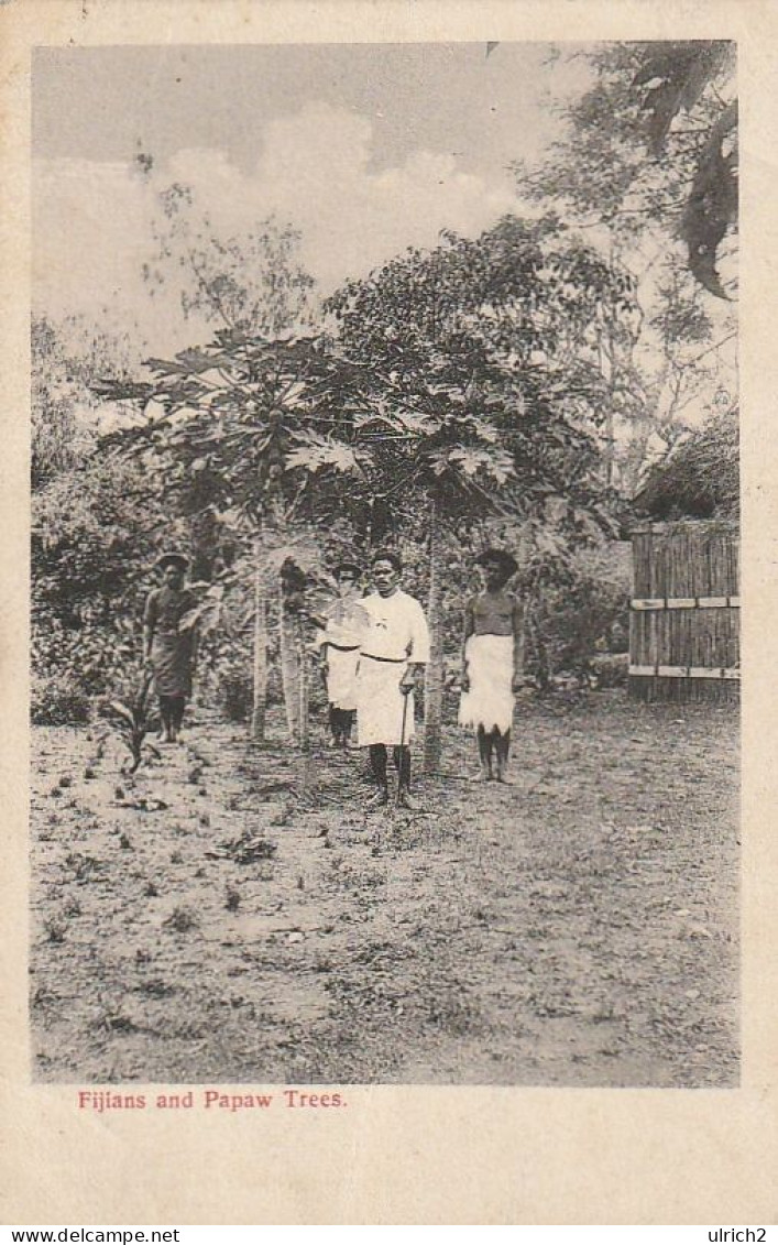 AK Fiji - Fijians And Papaw Trees - 1907  (66447) - Fidji