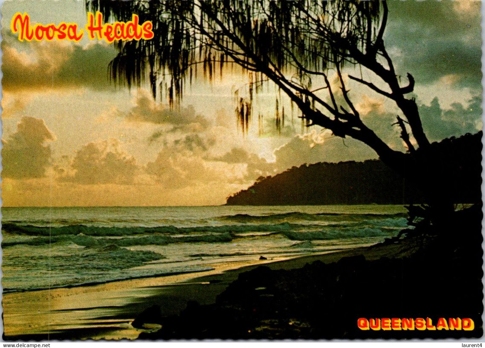 10-12-2023 (1 W 46) Australia - QLD -  Noosa Heads (posted 1982 Arboriginal Art Stamp) - Sunshine Coast