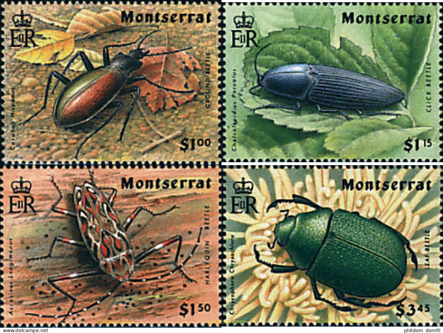 93733 MNH MONTSERRAT 1994 INSECTOS - Montserrat