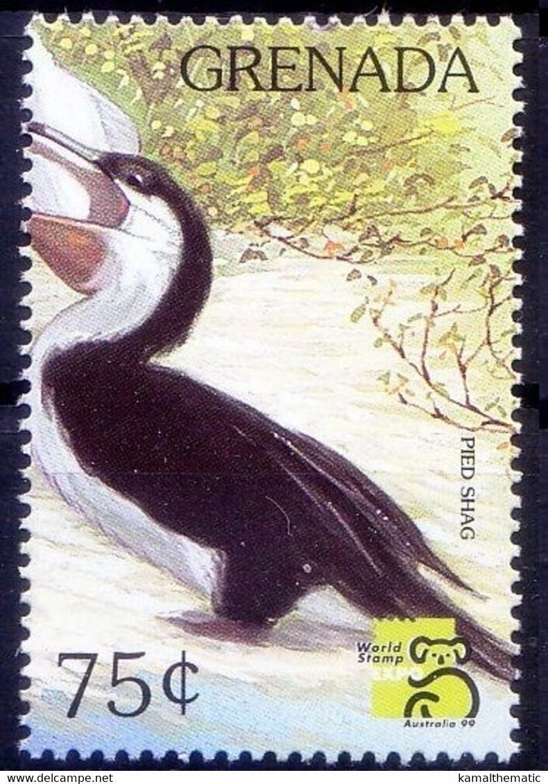 Grenada 1999 MNH, Pied Shag, Water Birds - Albatrosse & Sturmvögel