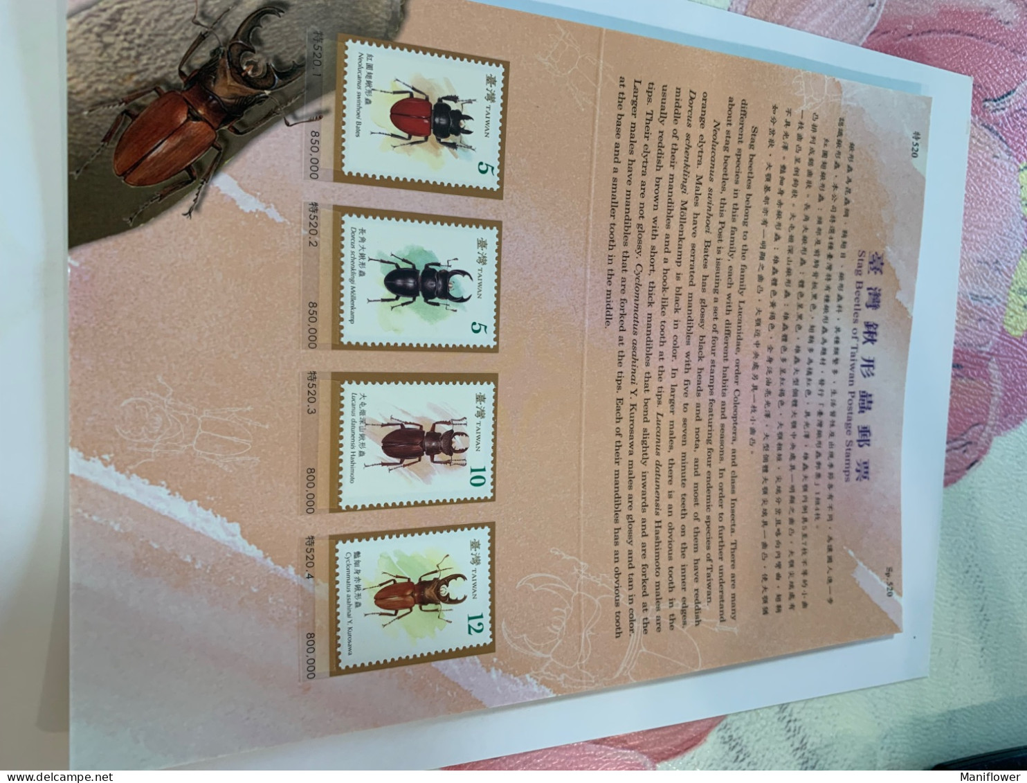 Taiwan Stamp 2008 Insects Fold Card - Briefe U. Dokumente