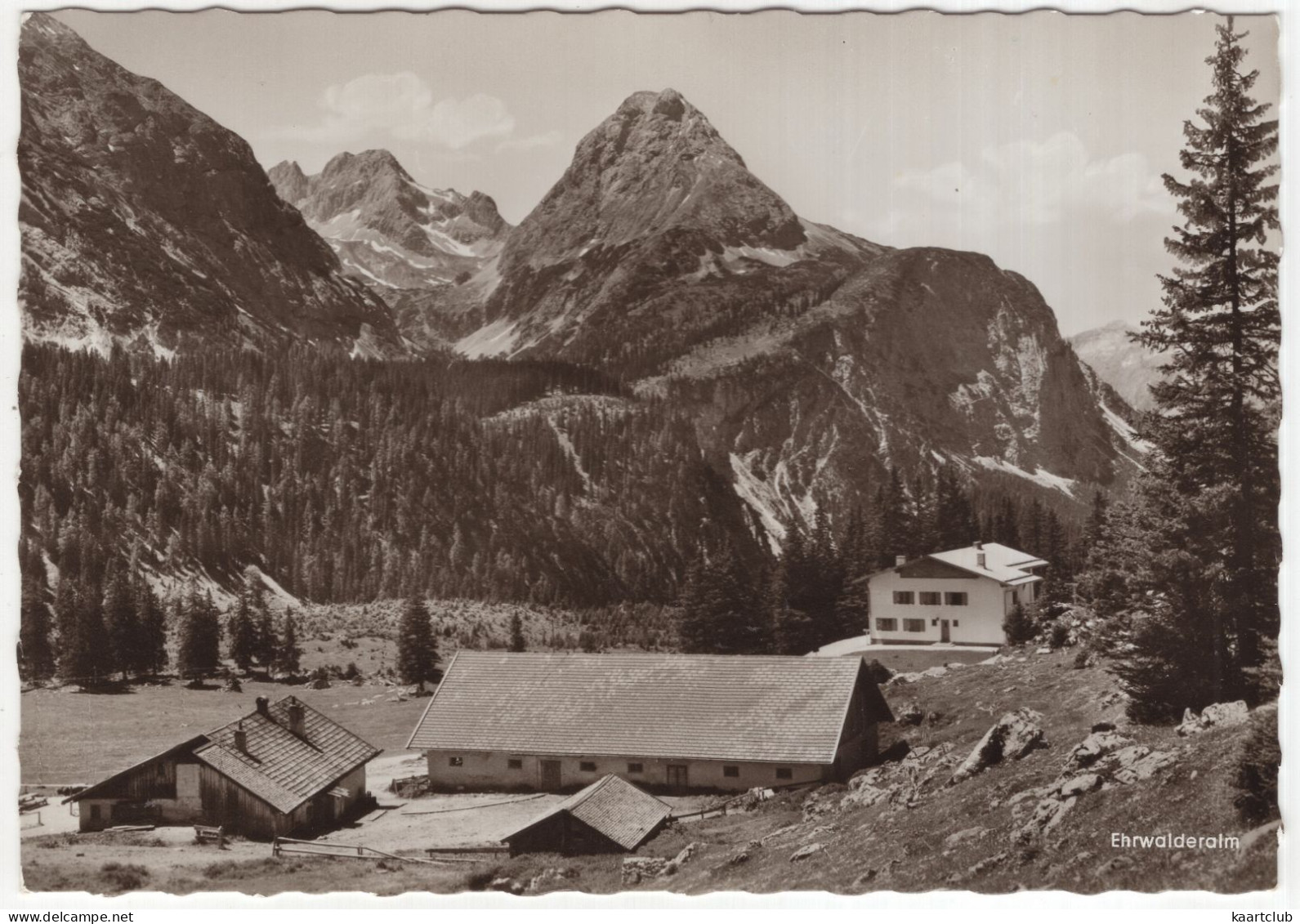 Ehrwalderalm, 1494 M, Tirol - Bergstation Gondel - Sesselbahn 1502 M - Sonnenspitze - (Tirol, Österreich/Austria) - Ehrwald