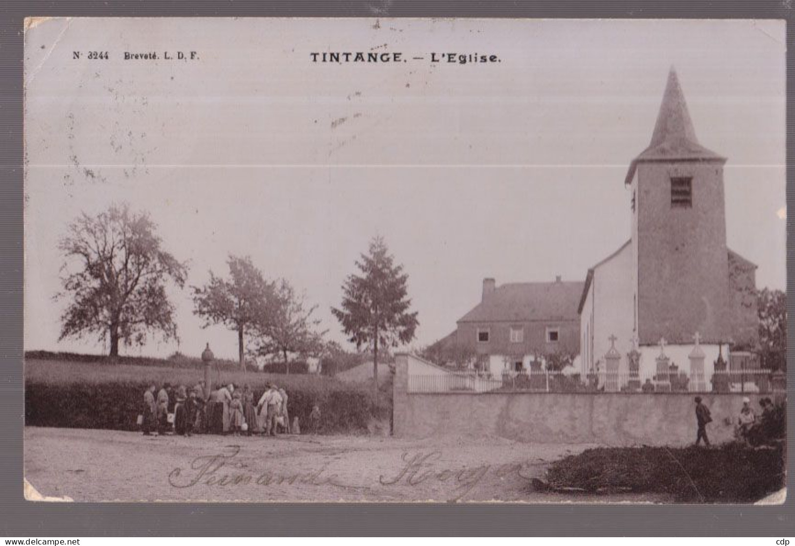 Carte Photo Tintange   1905 - Fauvillers