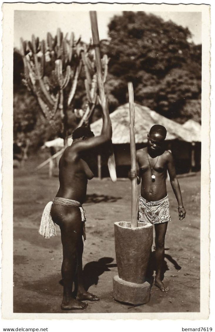 Republique Centrafricaine  -A.E.F. -  Oubangui - Pilage  Du Manioc   Par  R Pauleau  Douala - Centrafricaine (République)