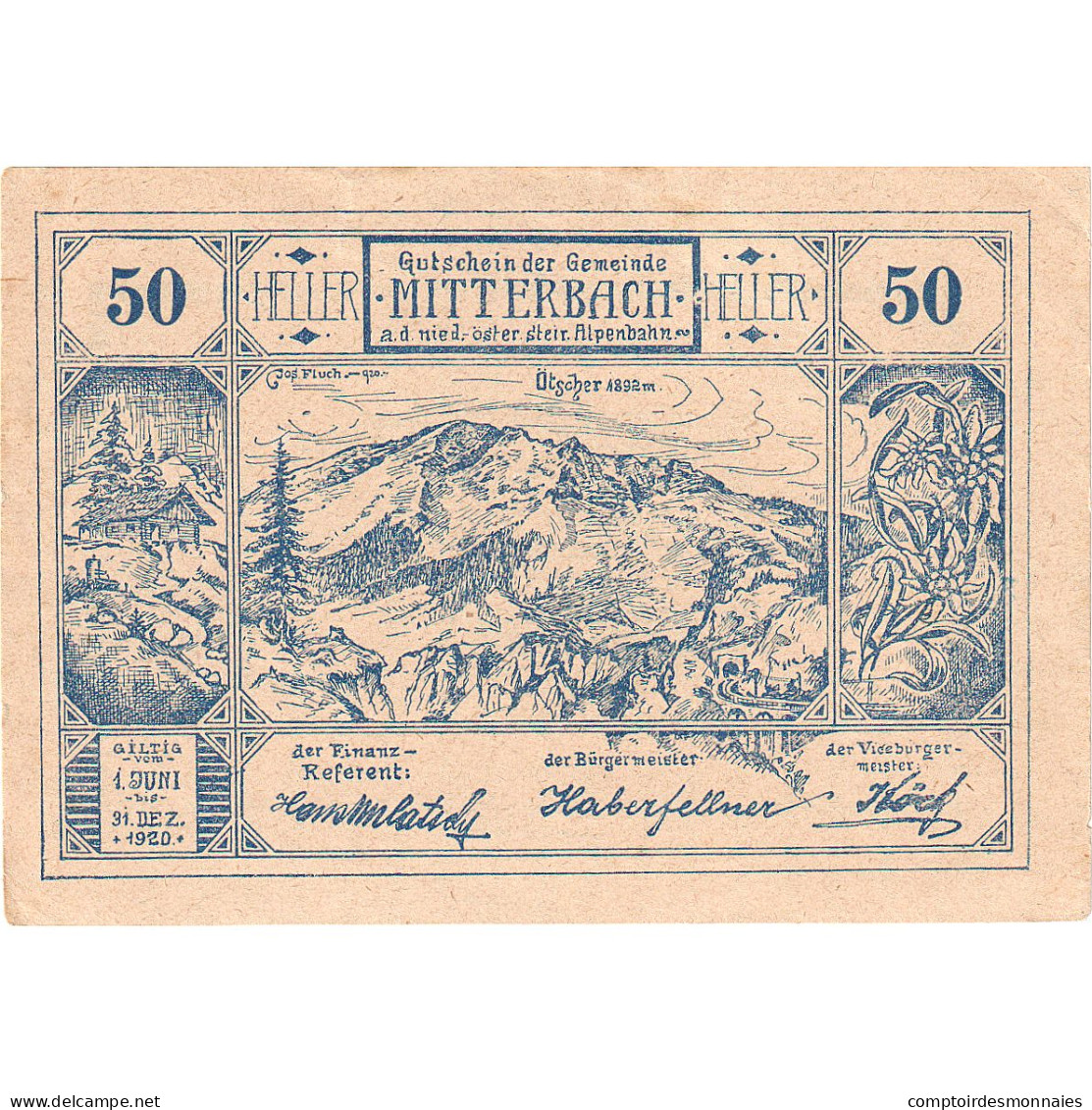 Autriche, Mitterbach, 50 Heller, Montagne, 1920, 1920-12-31, SUP, Mehl:FS 618a - Oesterreich