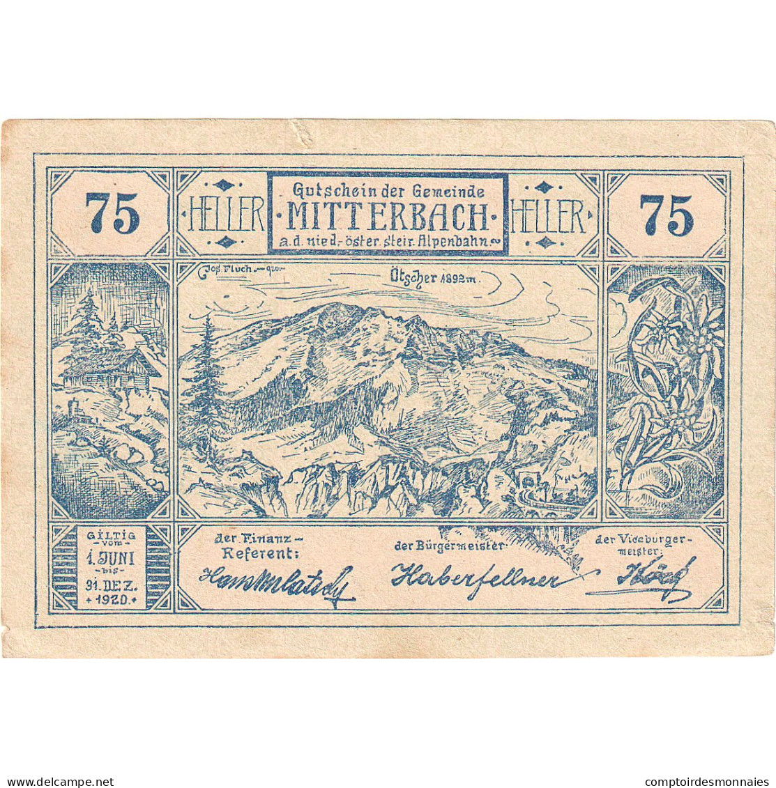 Autriche, Mitterbach, 75 Heller, Paysage, 1920, 1920-12-31, SUP+, Mehl:FS 618a - Oesterreich