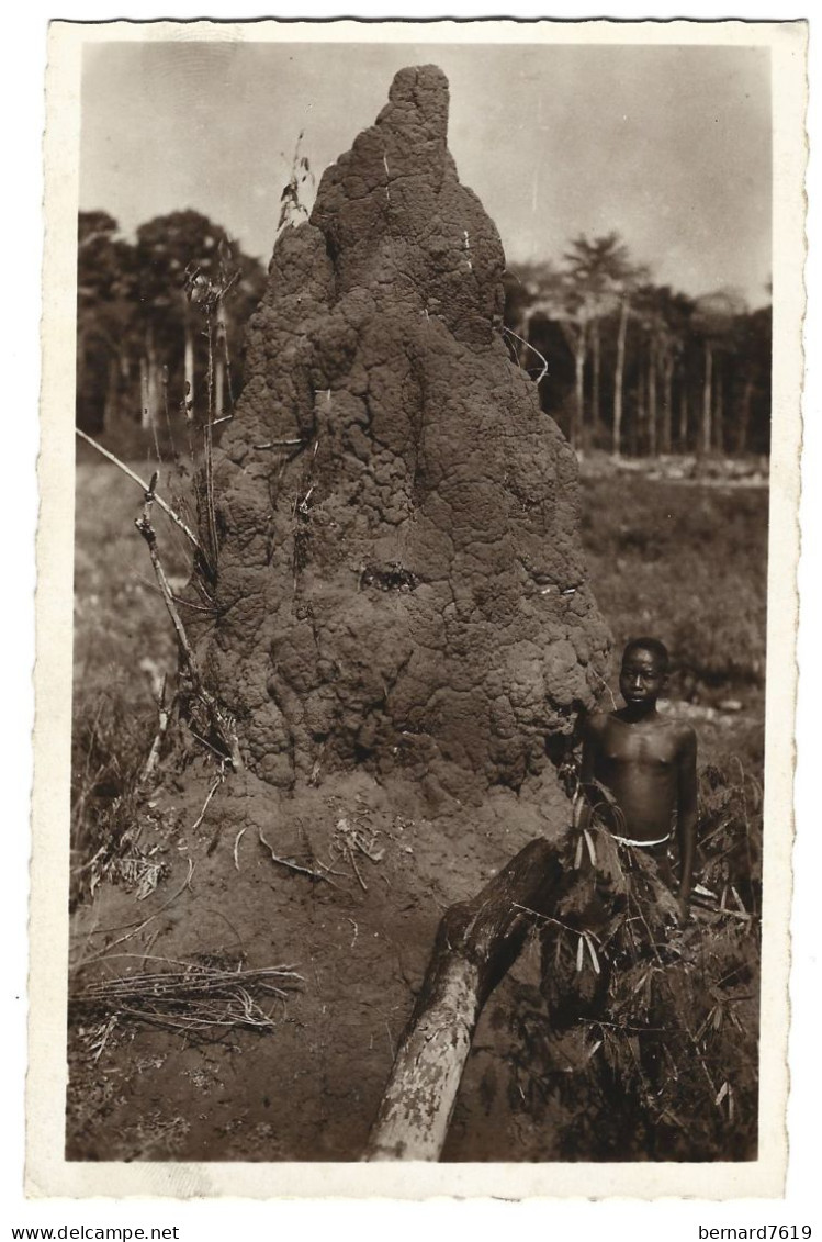 Republique Centrafricaine  -A.E.F. -  Oubangui -  Termitiere  - Par  R Pauleau  Douala - Centrafricaine (République)