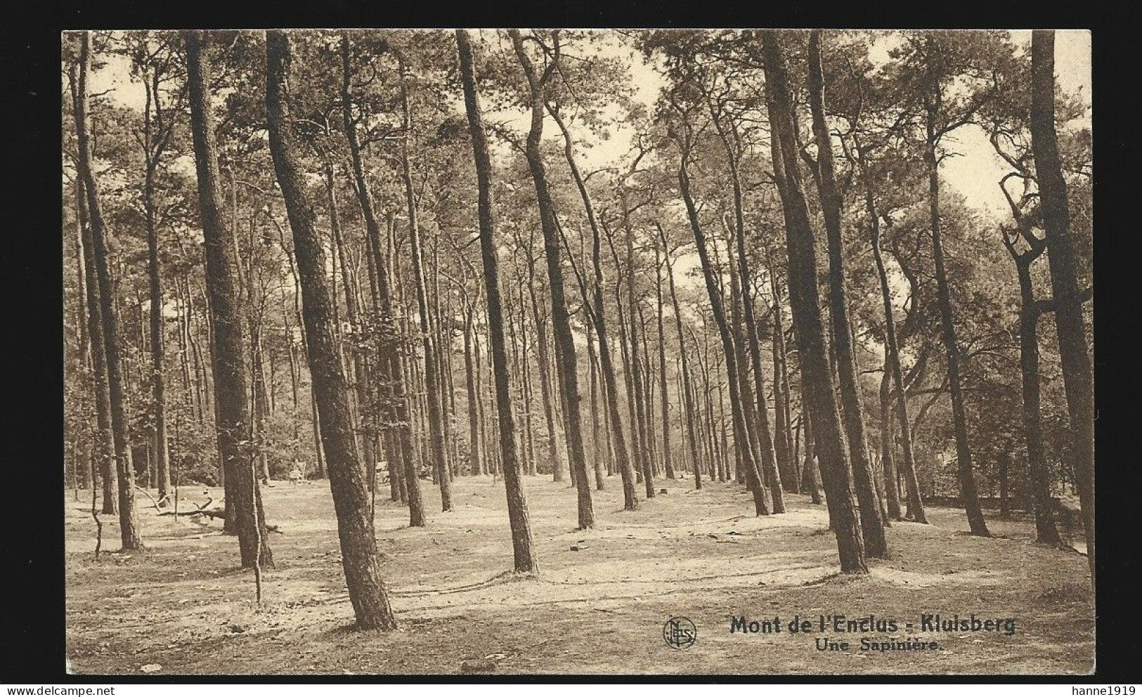 Mont De L' Enclus Kluisberg Une Sapinière Cachet 1931 Amougies Htje - Kluisbergen