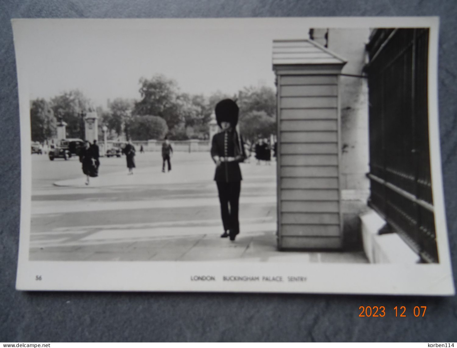 BUCKINGHAM  PALACE  SENTRY - Buckingham Palace