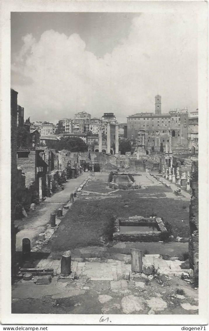 Roma Il Foro Romano Dalla Casa Delle Vestali 1928 - Places & Squares