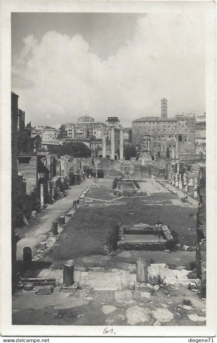 Roma Il Foro Romano Dalla Casa Delle Vestali 1928 - Orte & Plätze