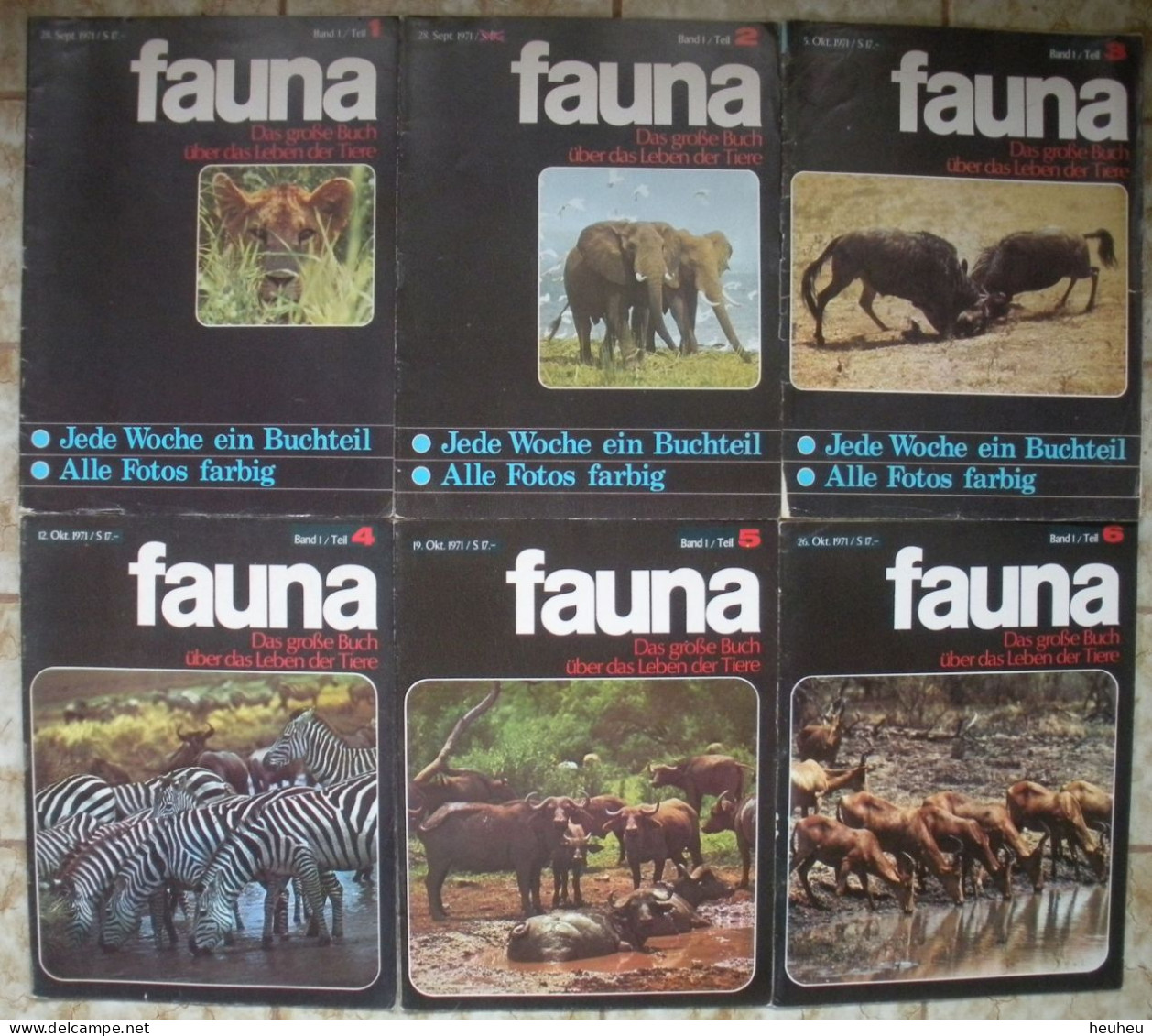 Zeitschrift FAUNA über Das Leben Der Tiere Hefte 1 Bis 45 Komplett - Hobbies & Collections