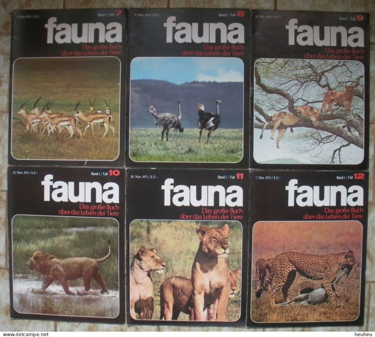 Zeitschrift FAUNA über Das Leben Der Tiere Hefte 1 Bis 45 Komplett - Hobbies & Collections