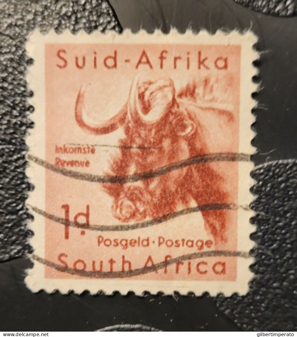 1954  N° 202   /0 - Used Stamps