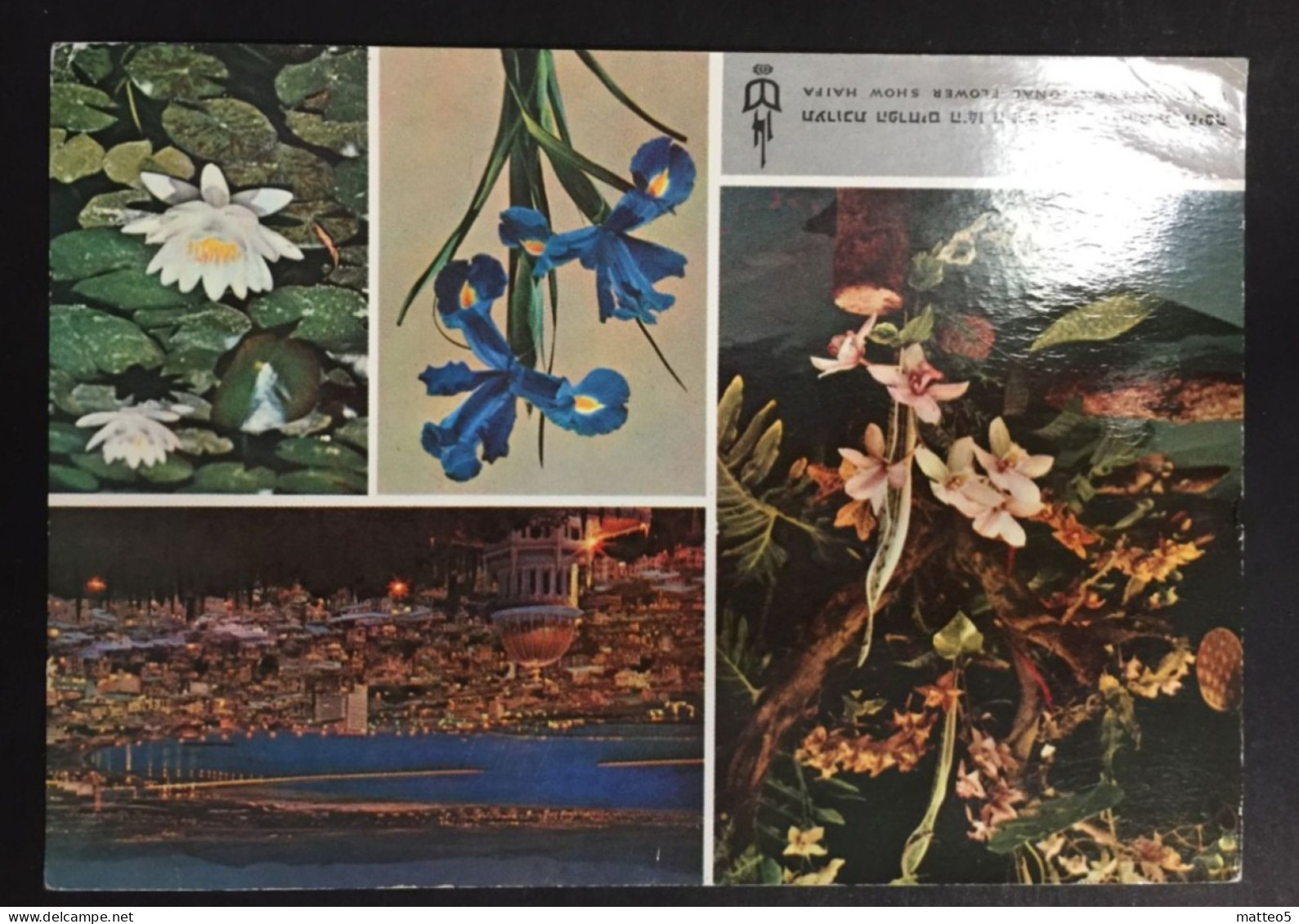 1965 Israel - From Israel To Germany - International Flower Show Haifa - 101 - Briefe U. Dokumente