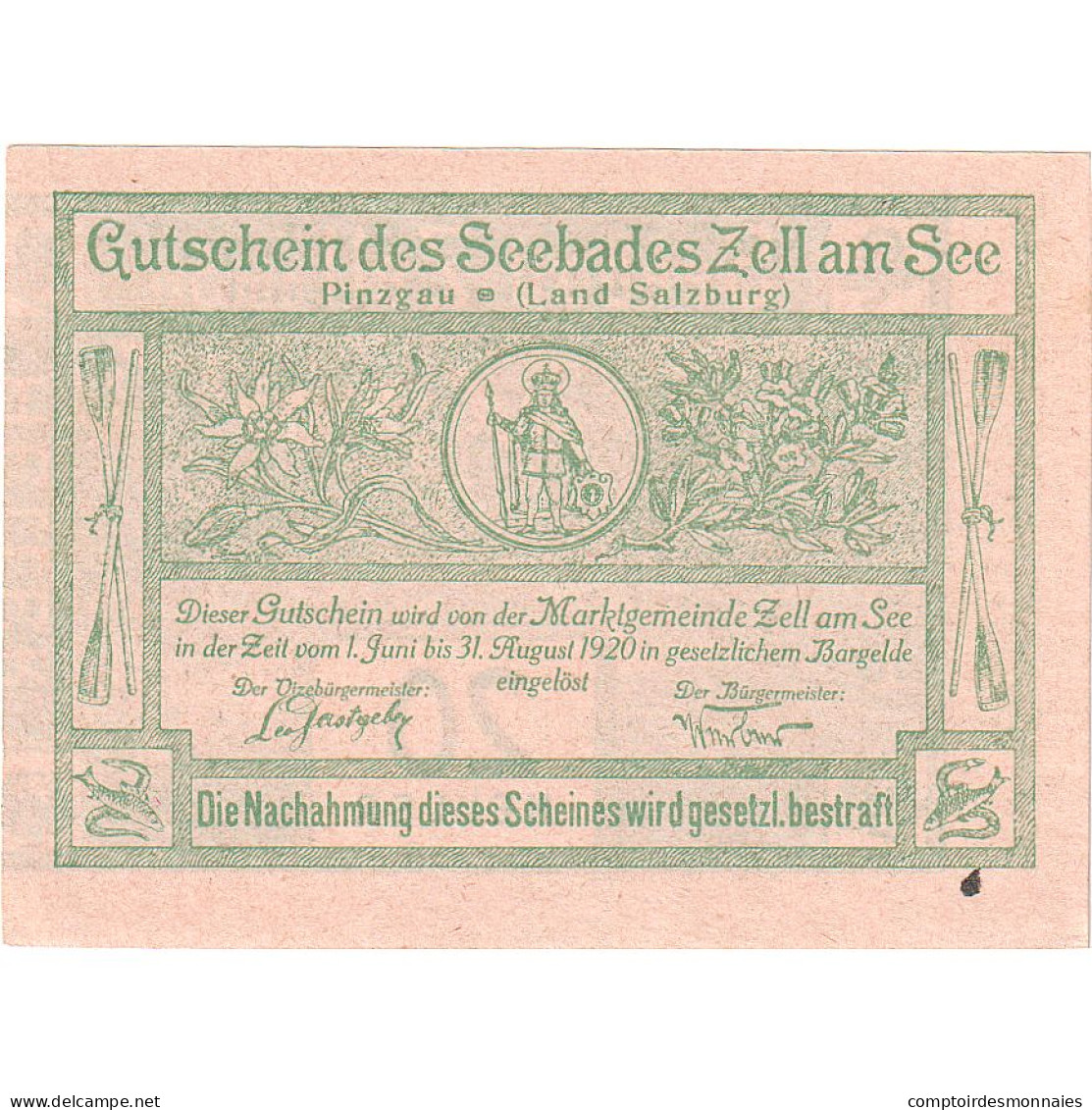 Autriche, Zell Am See, 20 Heller, Fleuve, 1920, 1920-08-31, SPL, Mehl:FS 1270I - Oesterreich