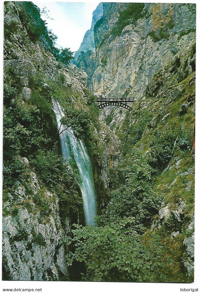 PUENTE DE BOLIN SOBRE EL RIO CARES.- PICOS DE EUROPA.-  ASTURIAS.- ( ESPAÑA). - Asturias (Oviedo)