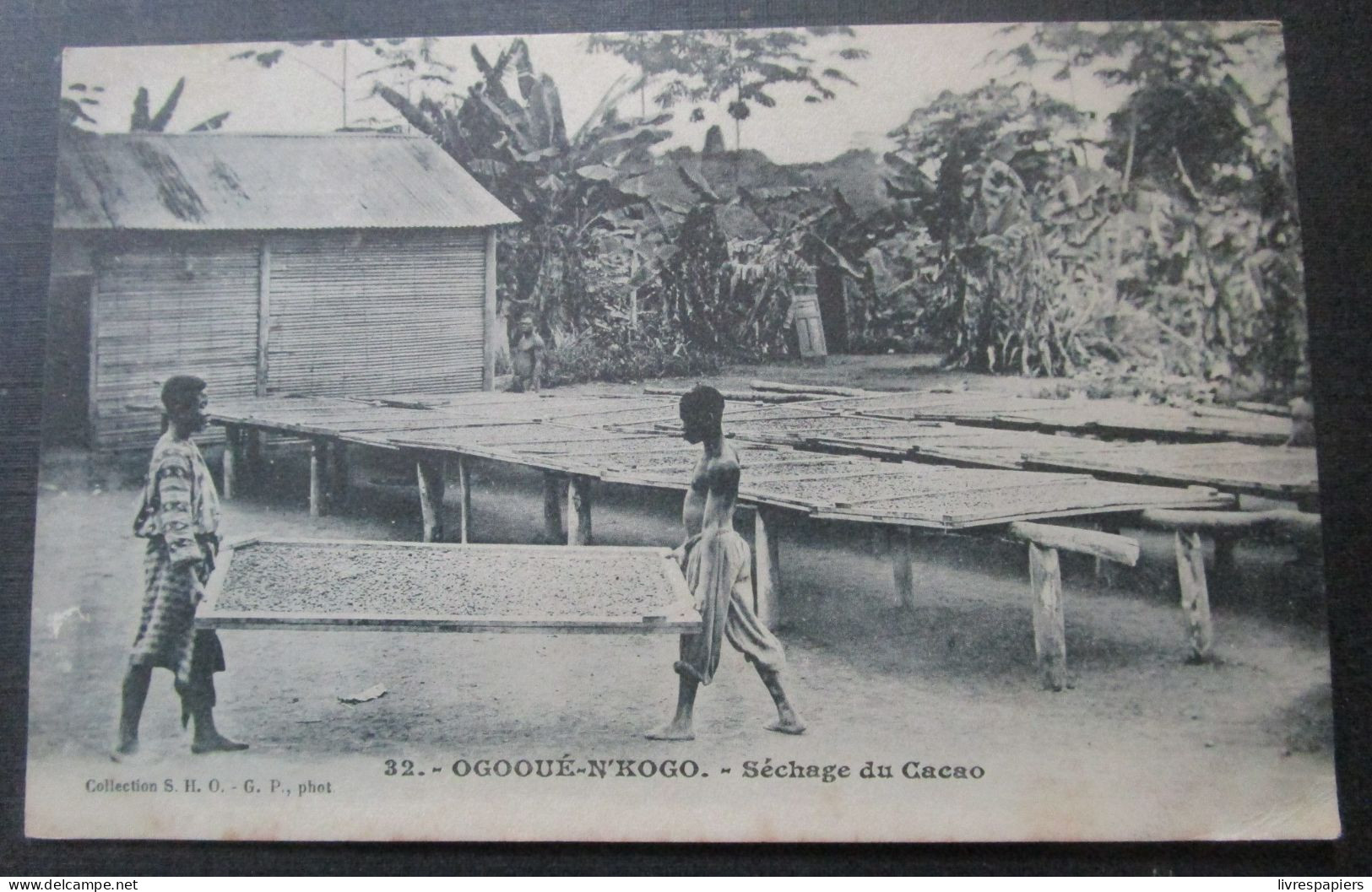 Gabon Ogooué N Kogo Sechage Cacao Cpa - Gabun