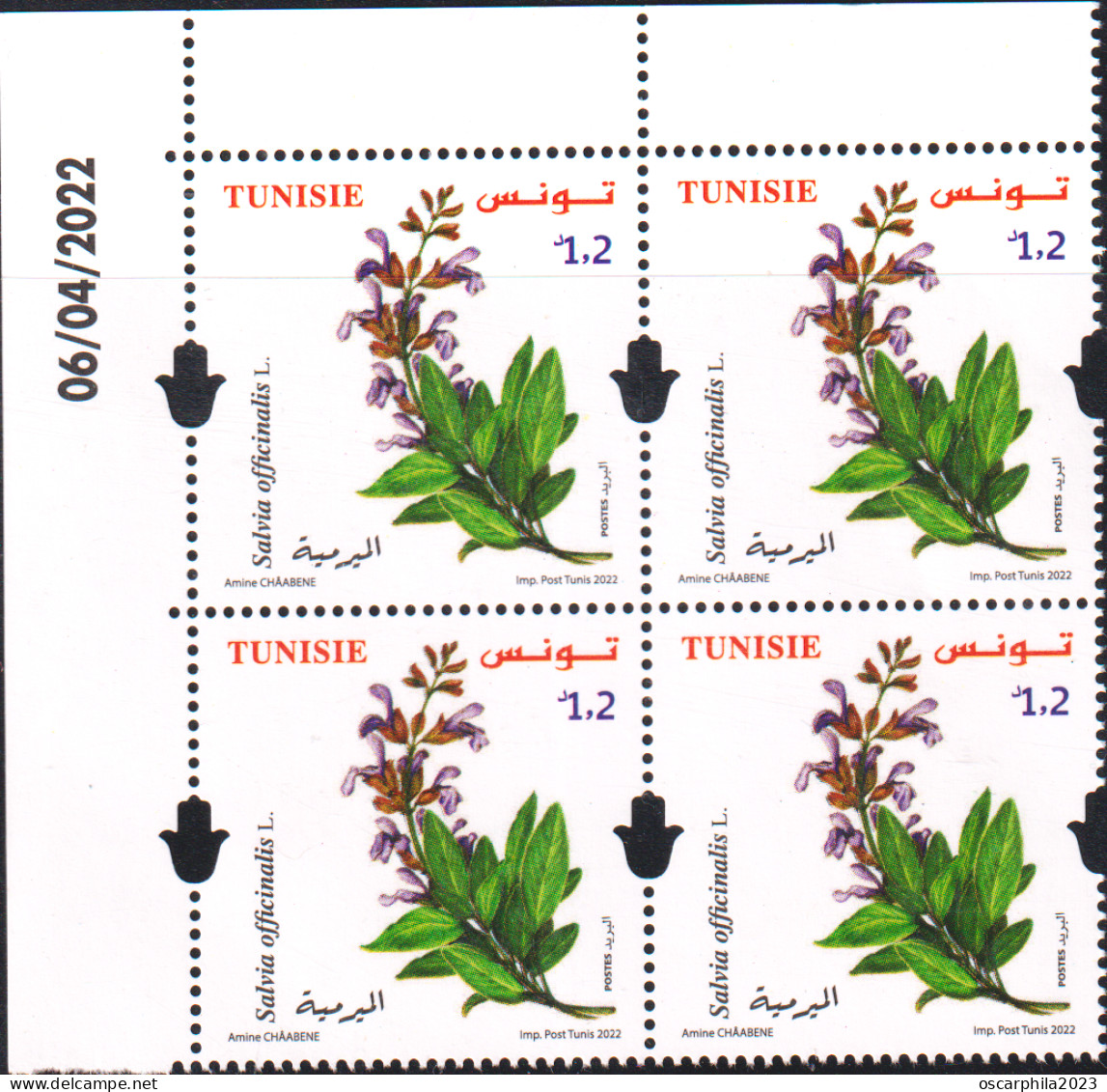 2022- Tunisie- Plantes De Tunisie: Salvia Officinalis. L - Bloc De 4 Coin Dté - 4 V ---  MNH****** - Medicinal Plants