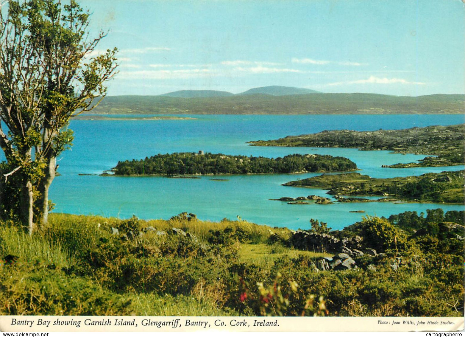 Ireland Co. Cork Glengariff, Bantry Bay Showing Garnish Island - Cork