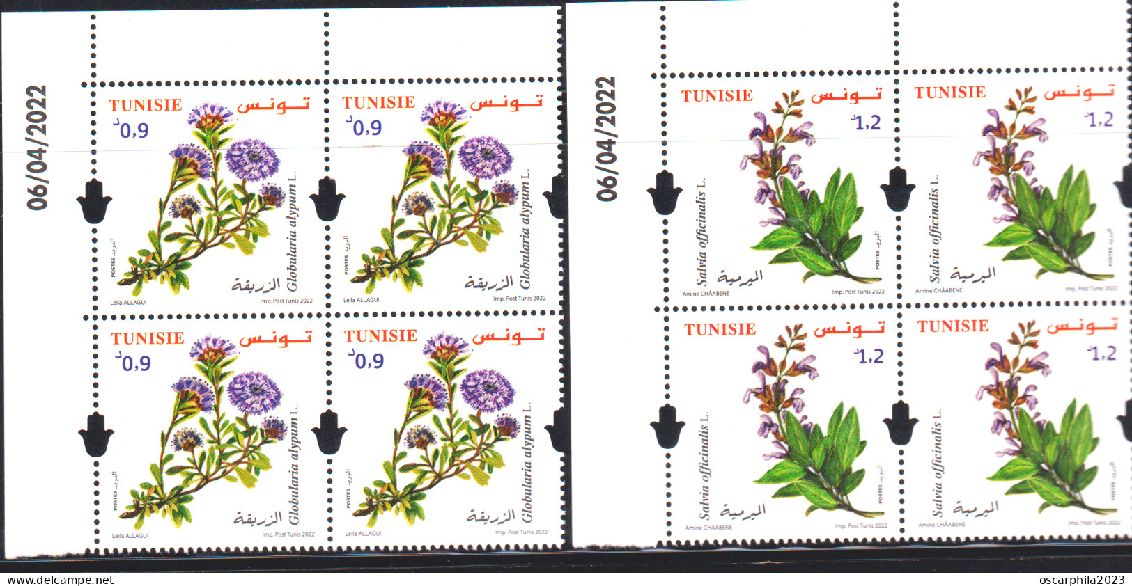 2022- Tunisie- Plantes De Tunisie: Salvia Officinalis. L & Globularia Alypum .L -  2 Bloc De 4 Coin Daté - 8V MNH**** - Geneeskrachtige Planten