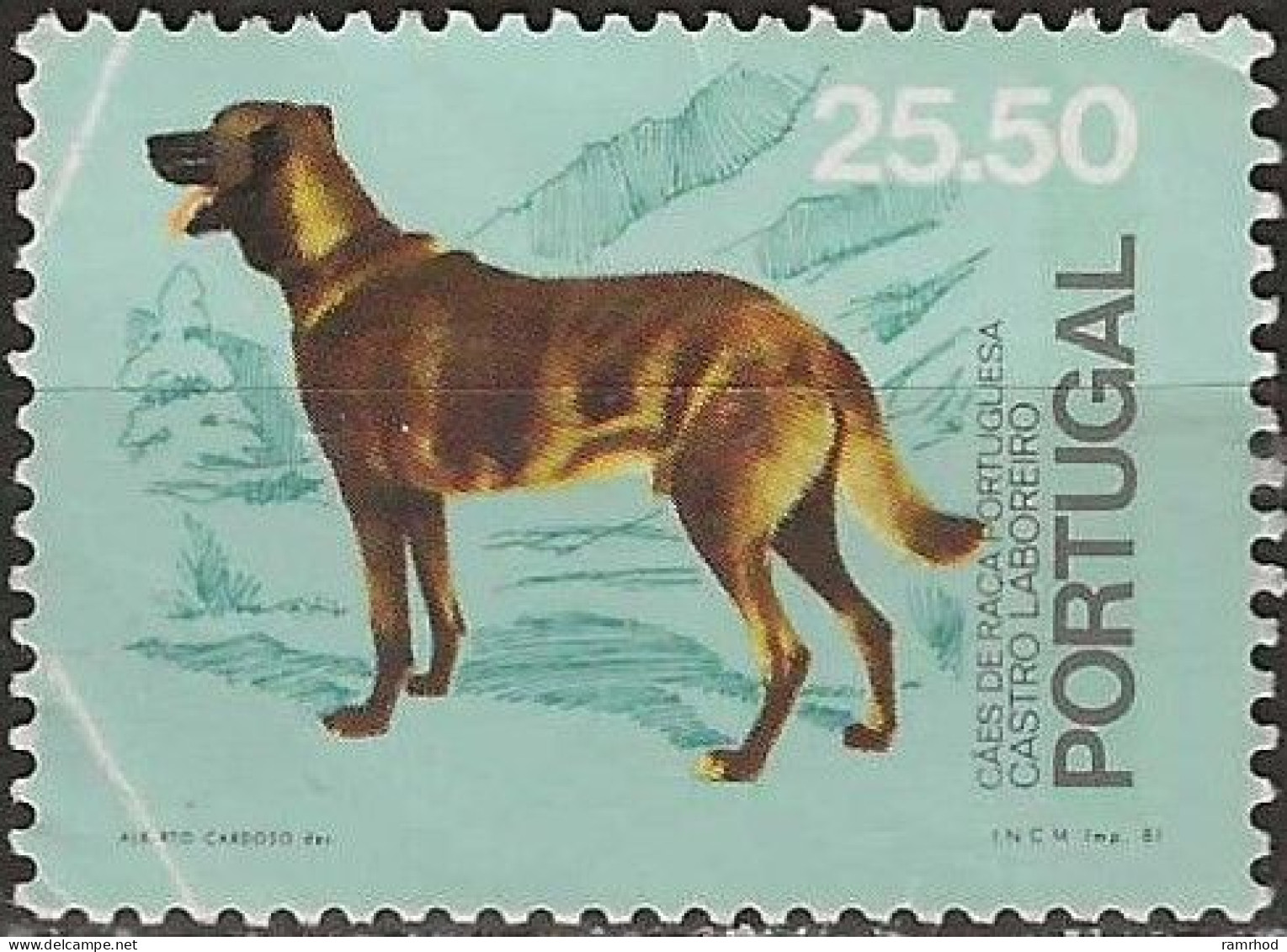 PORTUGAL 1981 50th Anniversary Of Kennel Club Of Portugal - 25e.50 - Castro Laboreiro FU - Usado