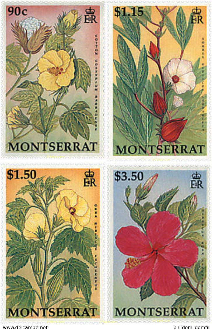 95257 MNH MONTSERRAT 1994 FLORES - Montserrat