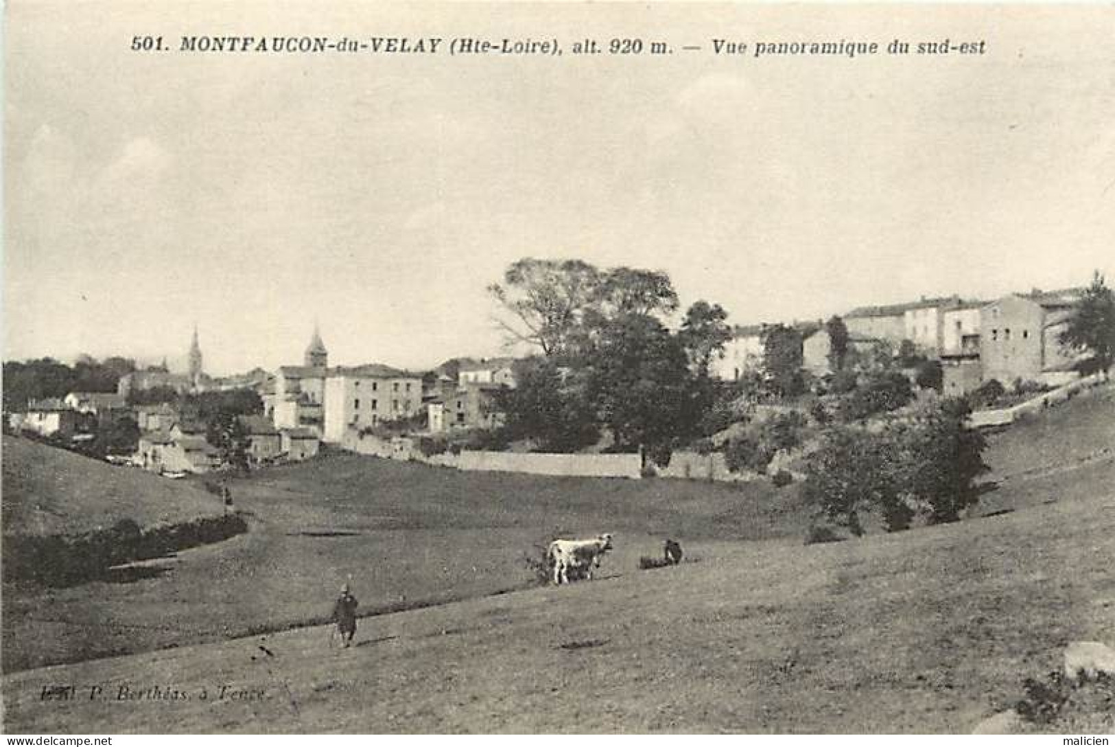 - Haute Loire -ref-A943- Montfaucon En Velay - Vue Panoramique Du Sud Est - - Montfaucon En Velay