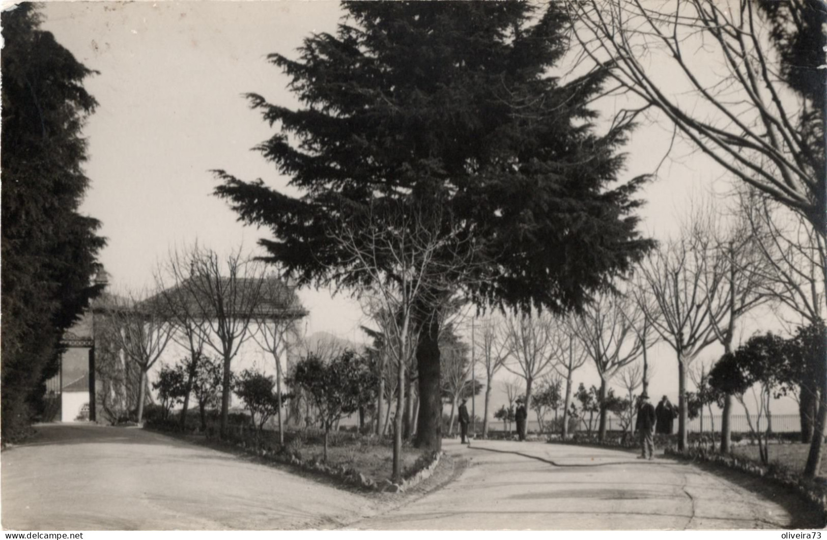 COVILHÃ - Entrada Do Cemiterio 1925 - PORTUGAL - Castelo Branco