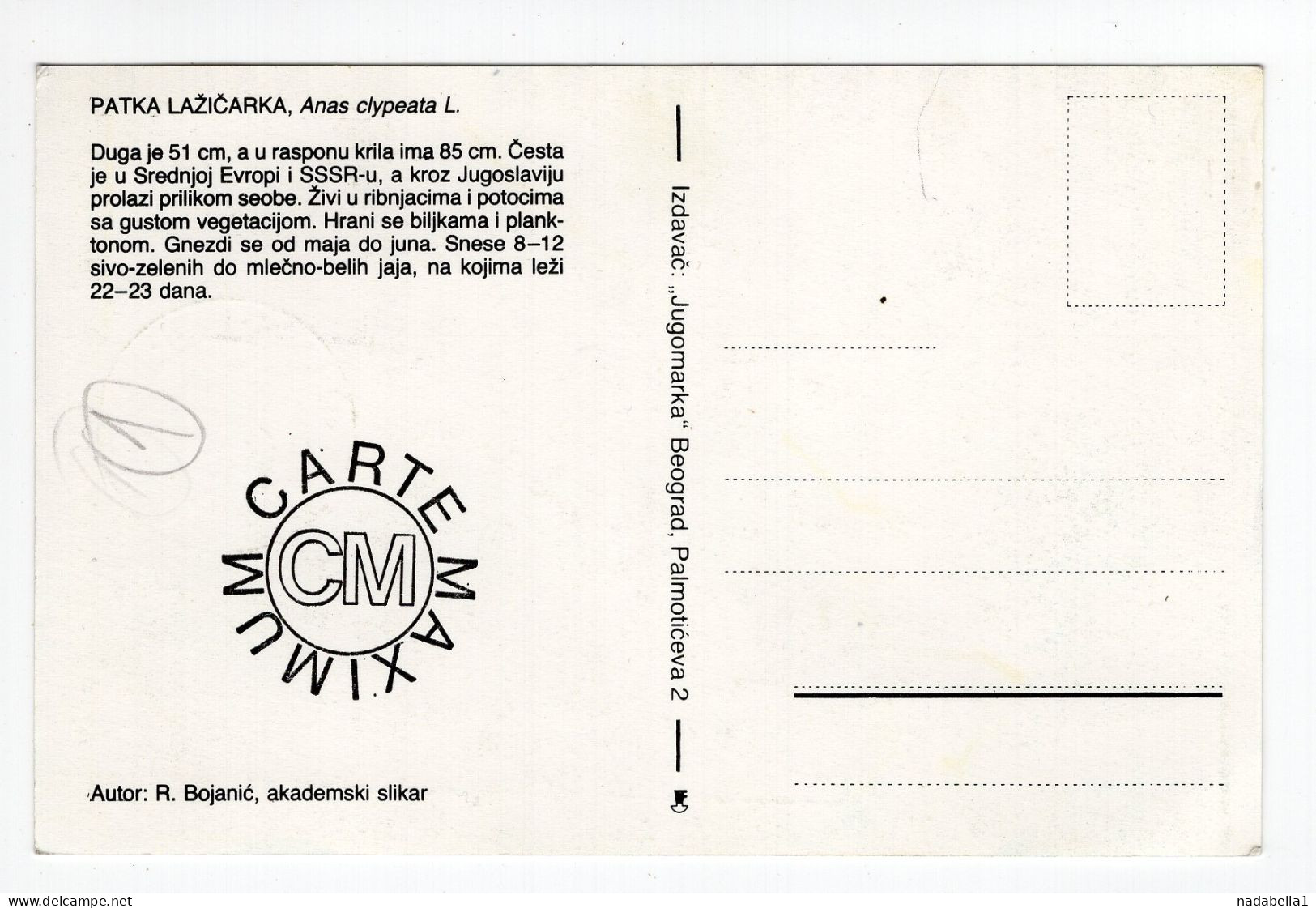 1989. YUGOSLAVIA,BELGRADE,FDC,MC,MAXIMUM CARD,PROTECTED SPECIES,DUCK,BIRDS - Cartoline Maximum