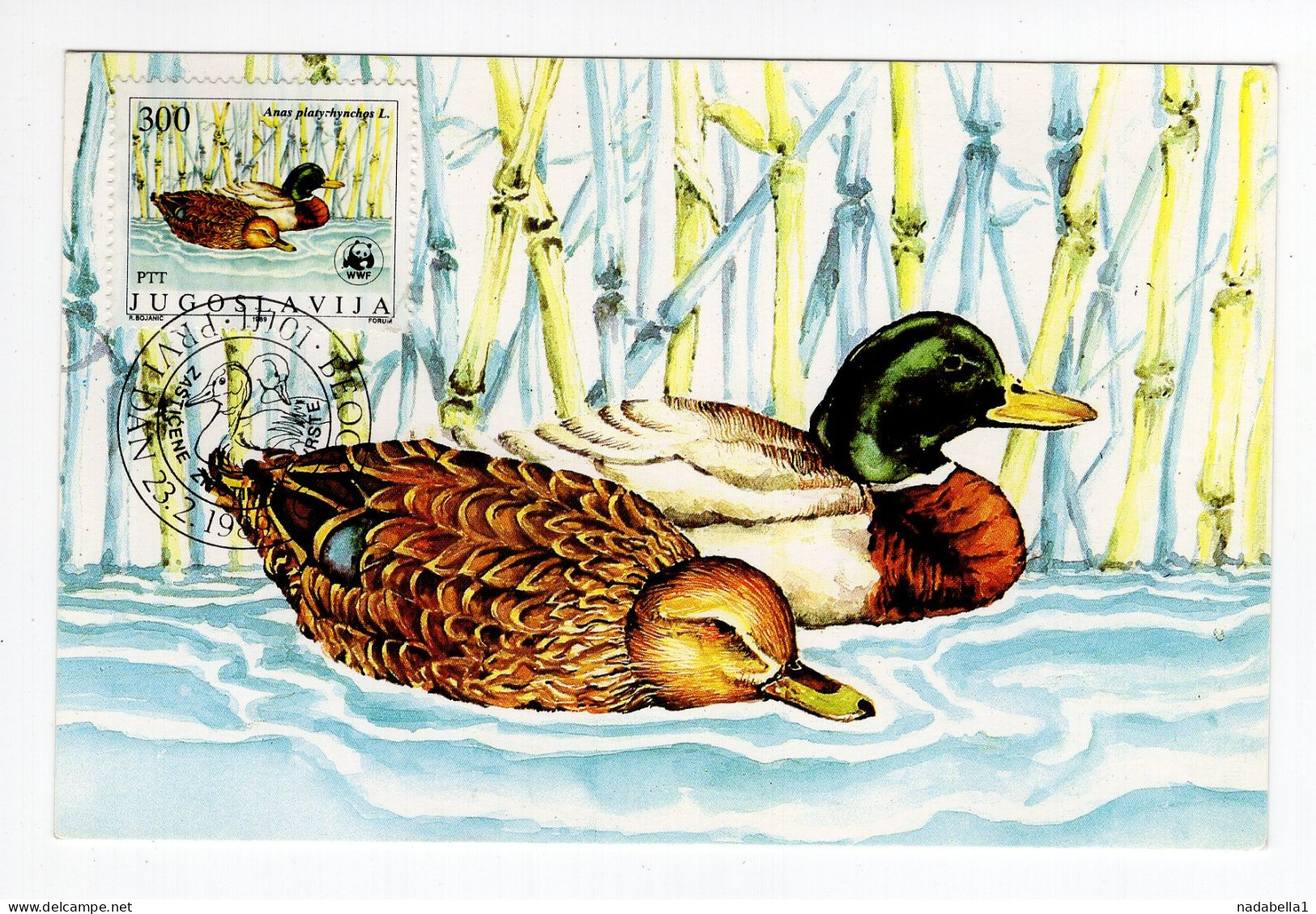 1989. YUGOSLAVIA,SERBIA,BELGRADE,FDC,MC,MAXIMUM CARD,PROTECTED SPECIES,DUCK,BIRDS - Maximumkaarten