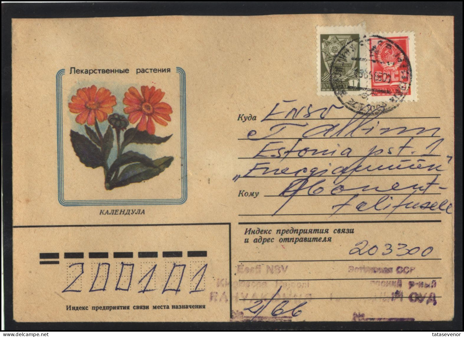 RUSSIA USSR Stationery USED ESTONIA AMBL 1270 KINGISSEPP Flora Plants Herbs Calendula - Non Classés