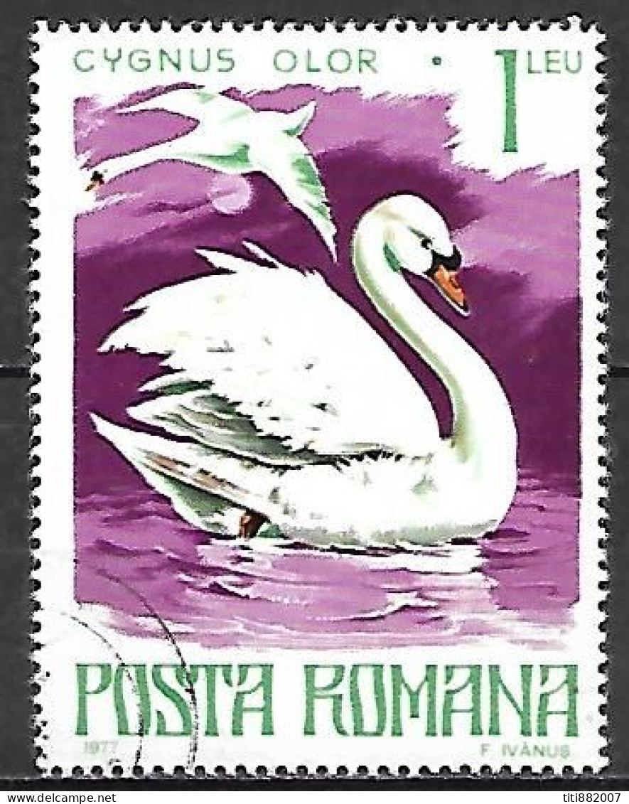 ROUMANIE      -     OISEAU    /    CYGNE    -    Oblitéré - Swans