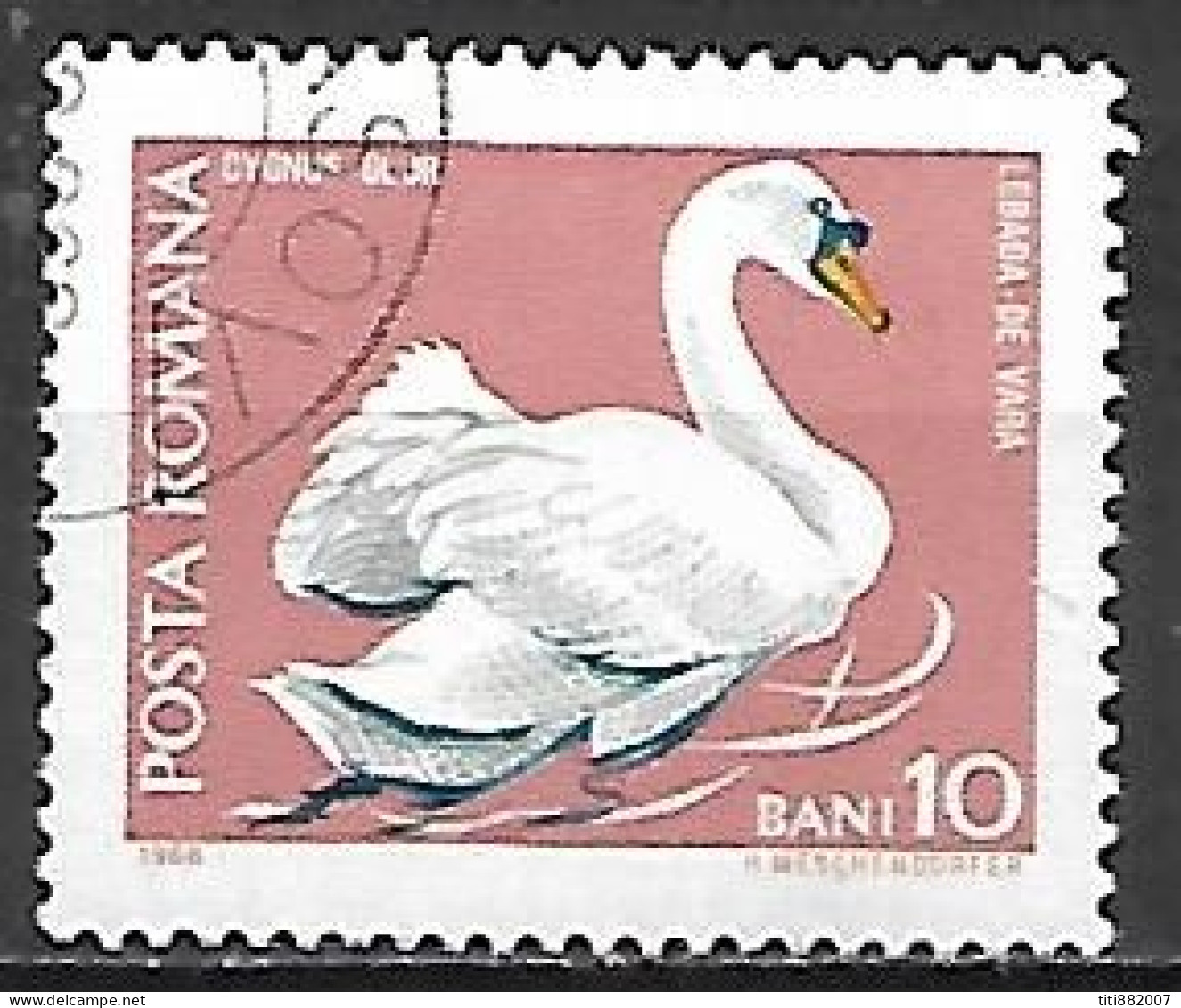 ROUMANIE      -     OISEAU    /    CYGNE    -    Oblitéré - Swans