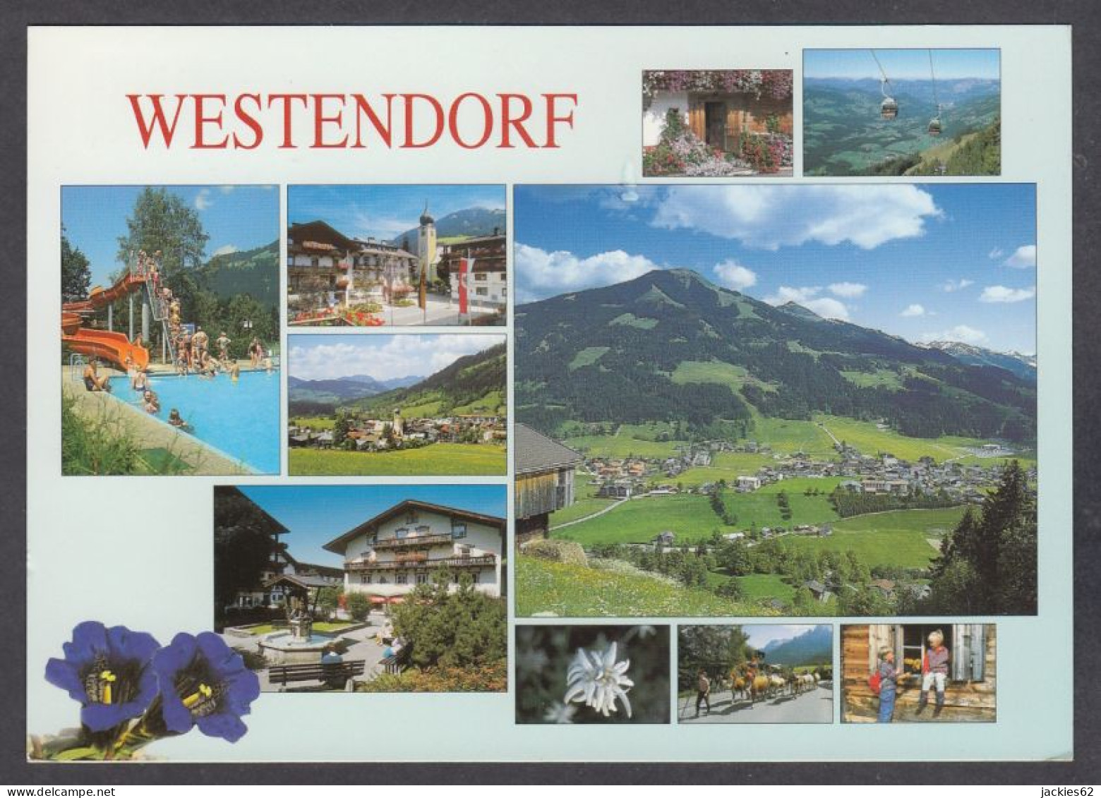 129525/ WESTENDORF - Wildschönau