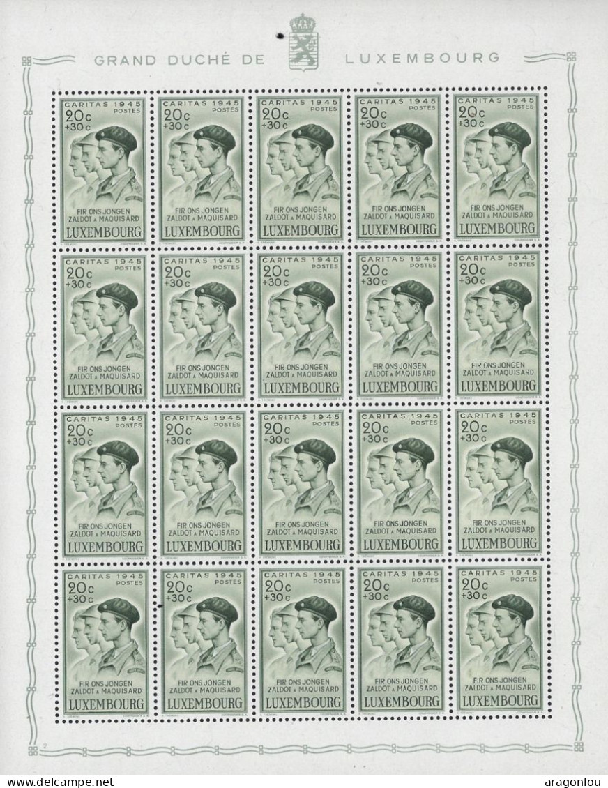 Luxembourg - Luxemburg - Timbres - Feuilles Complètes   1945  Mutilés De Guerre   MNH**  Série - Ganze Bögen