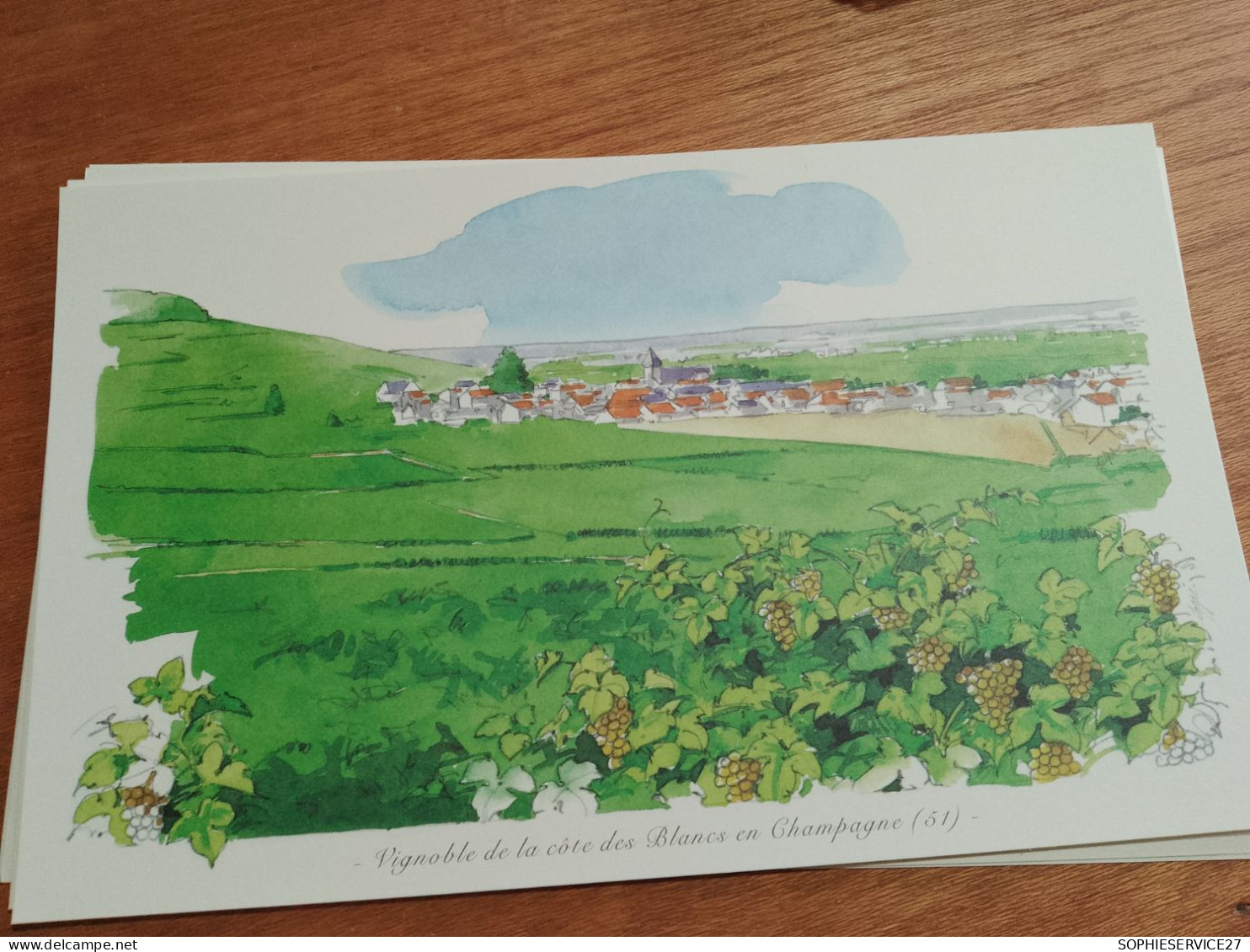 145 // Reproduction Aquarelle 28 X 17 CMS   / VIGNOBLE DE LA COTE DES BLANCS EN CHAMPAGNE - Aquarelles