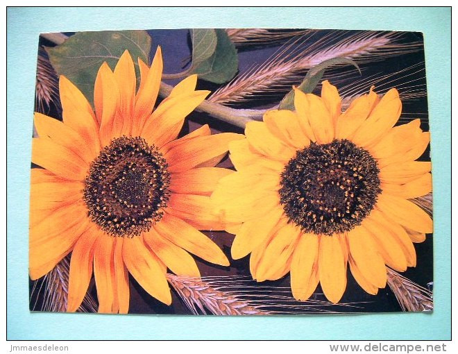 Slovakia 1994 Postcard "flowers Sunflower" Sent Locally - Madonna And Child By Klemens - Briefe U. Dokumente