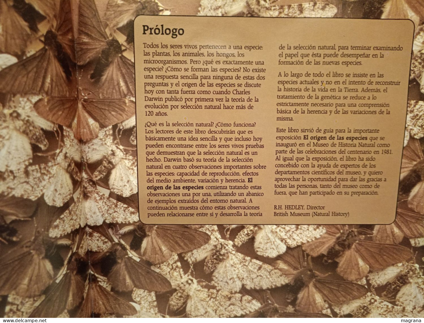 El Origen De Las Especies. British Museum (Natural History). Akal Ediciones. 1992. 120 Páginas. - Ciencias, Manuales, Oficios