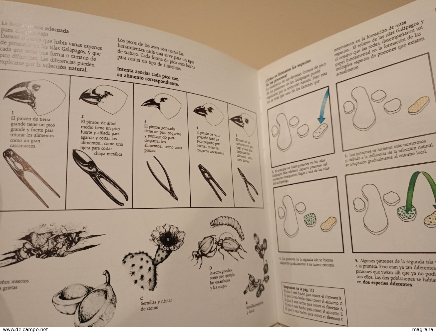 El origen de las especies. British Museum (Natural History). Akal ediciones. 1992. 120 páginas.