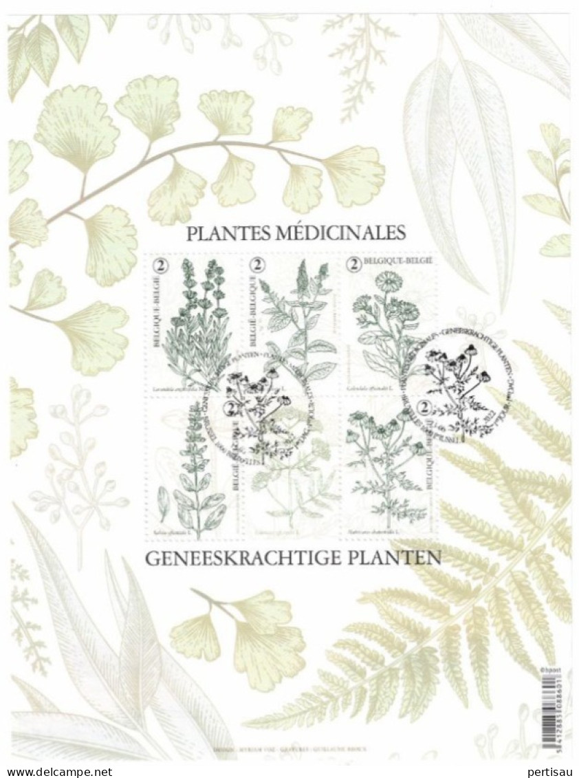 Geneeskrachtige Planten  Uitgiftestempel 2022 - Used Stamps